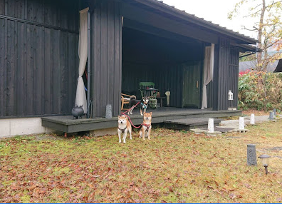 ぼくのお宿 風の音